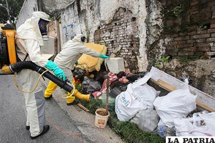 Fumigar viviendas es una forma de prevenir posibles brotes del mosquito Aedes Aegypti