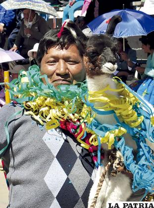 Ataviado participante junto a su llamita