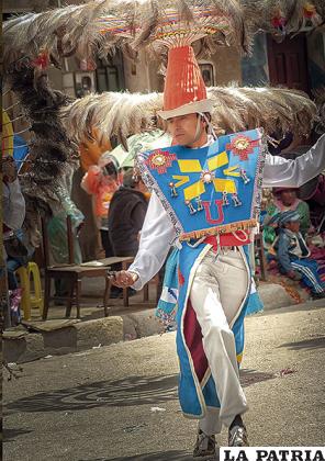 El elegante paso de los suris imita el paseo de los ñandús 