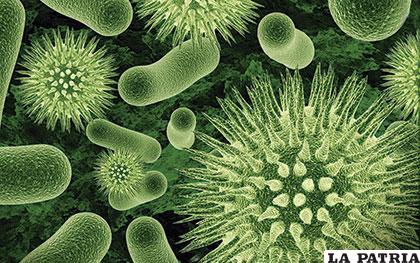Las bacterias han gobernado al mundo los recientes 3,5 billones de años