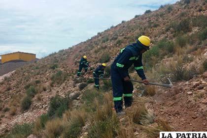 Durante el trabajo de refacción del circuito de bicimontaña
