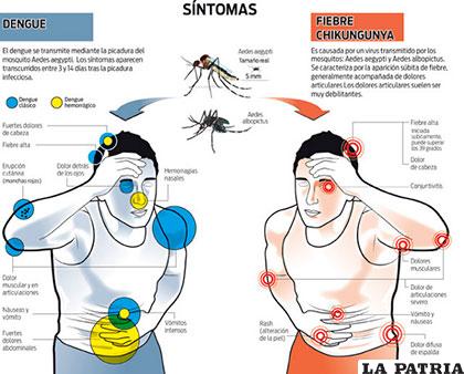 Síntomas de las diferentes enfermedades transmitidas por mosquito