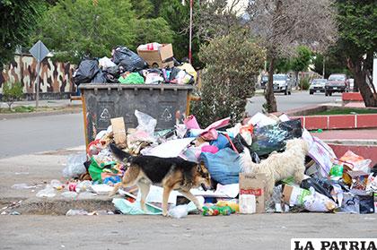 Se genera mucha basura y muy poca se vuelve a usar o reciclar