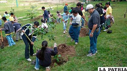 Campaña ´Mi Árbol´, que tiene previsto plantar 5 millones de arbolitos hasta abril de este año /boliviatv.bo