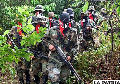 Al menos siete guerrilleros del ELN fueron abatidos por las Fuerzas Militares y la Policía de Colombia