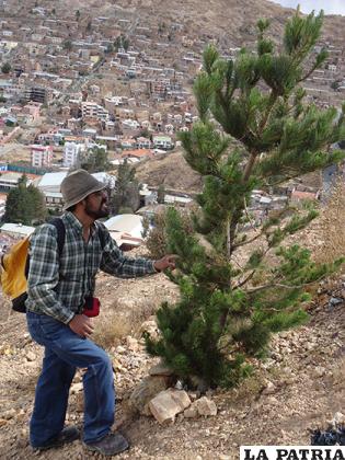 Miguel Salas junto a uno de los árboles que plantó hace una década