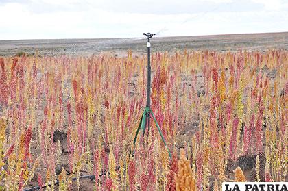 FPS iniciara proyectos de riego en Oruro