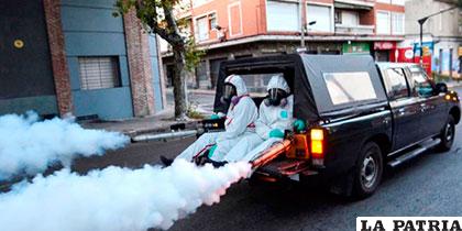 En Montevideo fumigan sus barrios para  luchar contra el mosquito Aedes Aegypti /elpais.cr