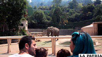 El zoo recibe a la fauna silvestre para rehabilitarla