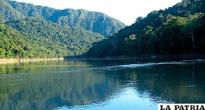 Parque Madidi que podría ser afectado por hidroeléctrica /boliviaenturismo.com