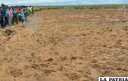 Sistema de riego en Corque beneficia a familias agrícolas /Ministerio de Medio Ambiente y Agua