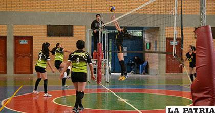 El campeonato oficial de voleibol retomará sus actividades el miércoles 14