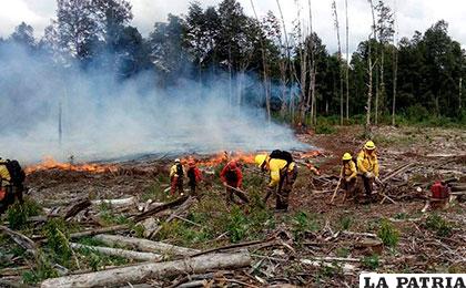 Brigadistas combaten un incendio forestal en Chile