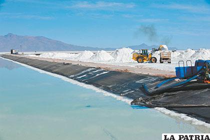 Se requieren planes innovadores para garantizar la industrialización del litio boliviano