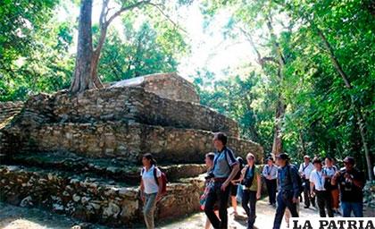 El patrimonio cultural de la civilización Maya está en 
peligro por la lluvia ácida