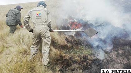 Guardaparques de la Reserva de Producción de Fauna Chimborazo alertaron al Cuerpo de Bomberos de Riobamba /LA HORA