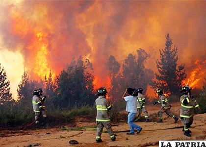 Los incendios se extienden entre las regiones de Biobío y Los Lagos /TN8