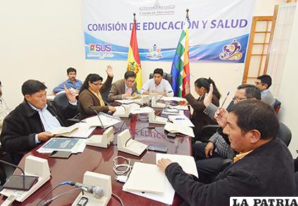 La comisión de Educación y Salud de la Cámara de Diputados /APG