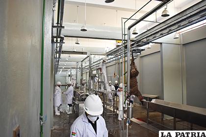 El matadero tiene la capacidad de faenar cerca de 3.750 cabezas de ganado al mes /LA PATRIA