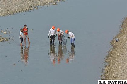El desastre medioambiental y ecológico tiene además un impacto negativo en la economía de miles de ribereños /(YAHOO NOTICIAS)