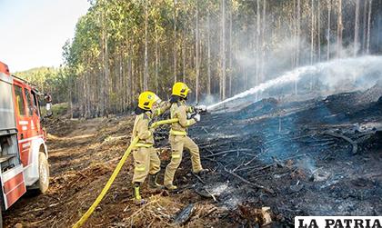 Chile batalla con incendios forestales en el Sur /Endimages