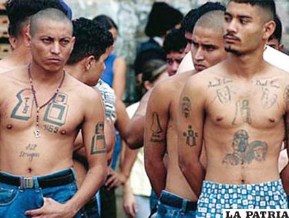 El Salvador sobrelleva desde hace mucho tiempo el conflicto de pandillas, un problema social / EL MOLINO ONLINE