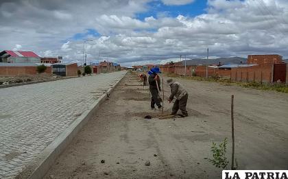 Varios barrios se benefician con la arborización de la zona Sur