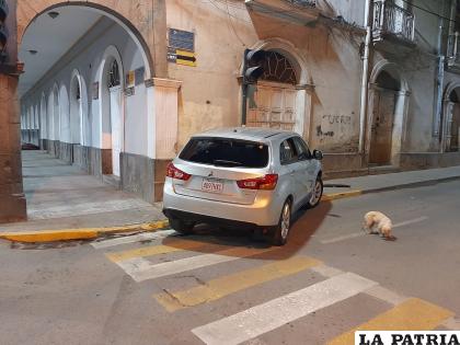 El vehículo fue abandonado tras impactar contra el poste /LA PATRIA