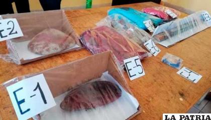 Algunas de las pruebas colectadas en el inicio de la investigación /Erbol