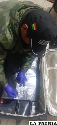 Ambos llevaban en sus maletas sustancias controladas / Cortesía