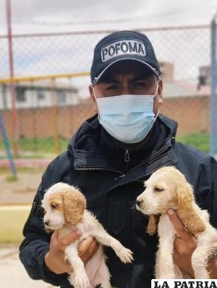 Efectivos rescataron diez cachorros y un felino /Pofoma