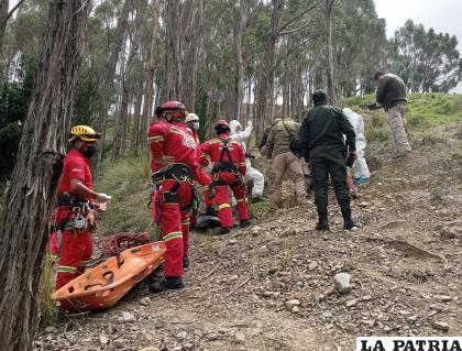 El cadáver fue hallado ayer en el Bosquecillo /APG