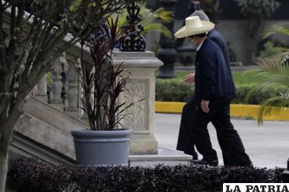 El presidente Pedro Castillo /AP Foto/Gudalupe Pardo, Archivo