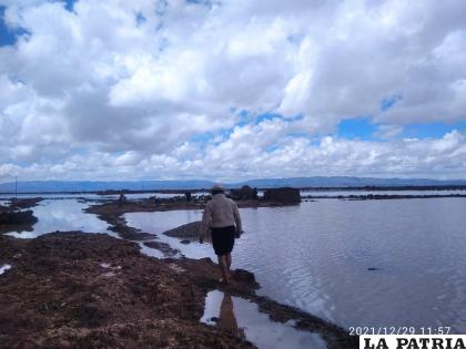 El Fenómeno de La Niña hizo que las lluvias se registren por encima de lo normal /GAMC