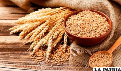 El trigo es el alimento de la vida /APICULTURA