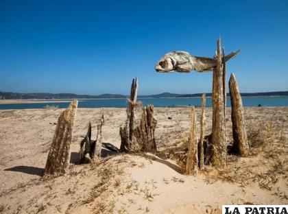 El cambio climático provoca alteración en las estaciones /NATGEO