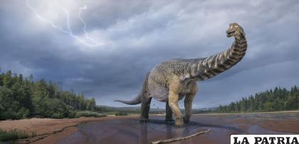 El saurópodo sufrió infecciones respiratorias /NATGEO