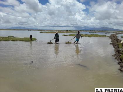 Lluvias causaron estragos casi en todos los municipios /LA PATRIA