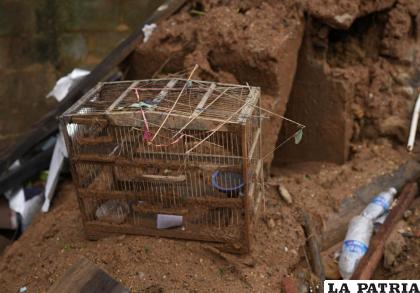 Una jaula para pájaros vacía, entre la destrucción causada por los deslaves en Petrópolis /AP Foto /Silvia Izquierdo
