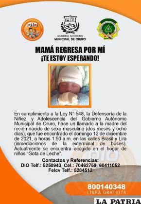 Los números de contacto /DIO
