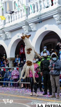 Un can se ganó el espectáculo en el Carnaval de Oruro /LA PATRIA