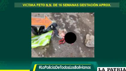 La fuerza anticrimen intentará identificar quien abandonó el feto en la calle /Policía 
