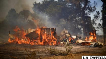 Incendios en el área rural en Chile /Reuters