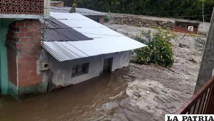 Lluvias dejan bajo el agua a varias viviendas /Erbol