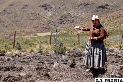 ??Es una gran alegría, este sistema de riego es un sueño cumplido, porque era una gran necesidad en época de sequía, ahora podremos garantizar el forraje para nuestro ganado.?
Evelin Atahuichi Waywa 
Beneficiaria de Ayllu Collana 
Municipio de Turco