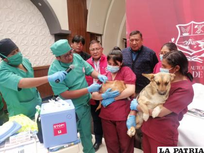 Intensificarán vacunación de canes contra la rabia /LA PATRIA
