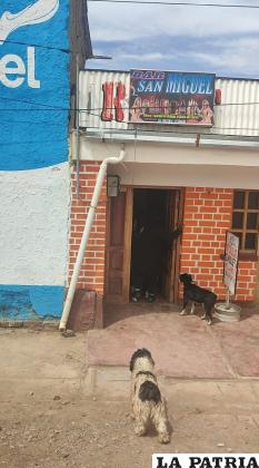 El bebé fue rescatado de la cantina a pasos de la carretera departamental /LA PATRIA
