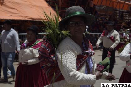 Espigas de trigo adornan el aguayo de la danzarina 
