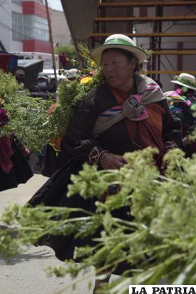 La vegetación es un elemento fundamental en la fiesta de la Anata 
