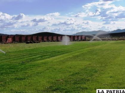 Un manto verde se va erigiendo en el complejo del CDT Real Oruro /LA PATRIA

